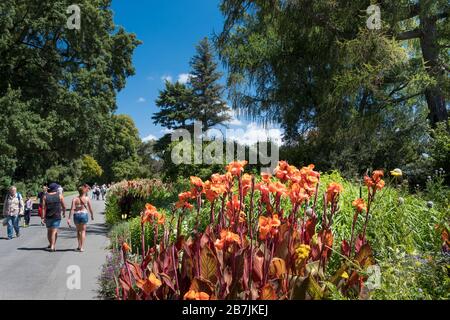 Persone che visitano i giardini botanici di Christchurch in estate, Christchurch, Canterbury Region, South Island, Nuova Zelanda Foto Stock