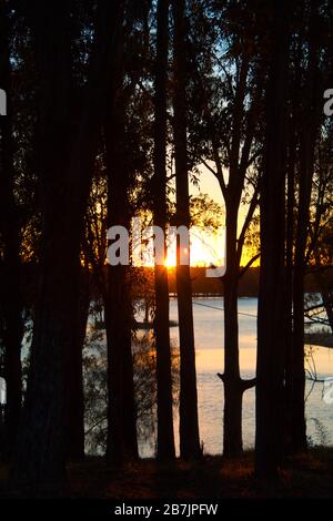 Tramonto tra le silhouette nere degli alberi nel bacino idrico di Tapada Grande, vicino alla città di Mertola, nell'Alentejo portoghese Foto Stock