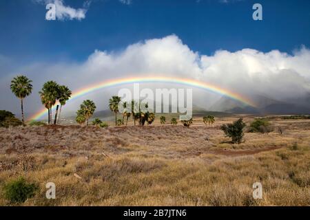 Splendida vista panoramica su un arcobaleno attraverso le montagne di Maui ovest. Foto Stock