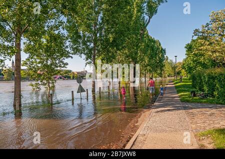 Enorme alluvione del fiume Elba nel centro di Magdeburg, centro città, Magdeburg, Germania, nel giugno del 2013, paesaggio urbano Foto Stock