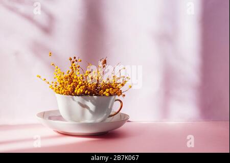 Tazza bianca in porcellana delicata, piena di bouquet di mimosa gialla, si trova su un piattino e su fondo rosa chiaro, alla luce del sole naturale con ombra dura Foto Stock