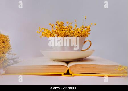 Una tazza piena di fiori profumati di Mimosa rosa su un libro aperto con vecchie foglie e una copertina gialla su uno sfondo morbido lilla. Amore dei libri e readin Foto Stock