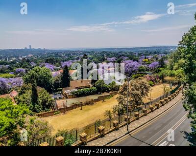 Veduta aerea di Johannesburg , la più grande foresta urbana durante la primavera - Jacaranda fiorente in ottobre in Sudafrica Foto Stock