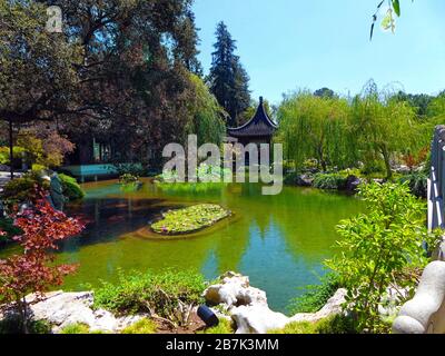 Giardino botanico presso la Biblioteca di Huntington a San Marino California USA Foto Stock