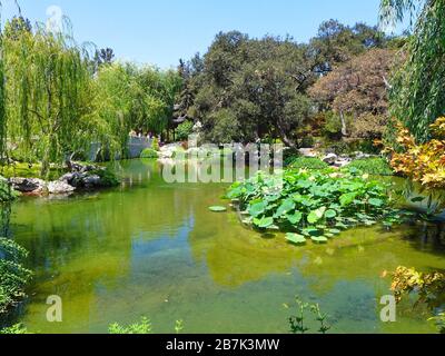 Giardino botanico presso la Biblioteca di Huntington a San Marino California USA Foto Stock