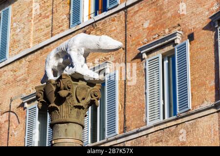 Siena, Toscana, Italia: La She-Wolf senese situata in Via Pantaneto in una giornata di sole Foto Stock