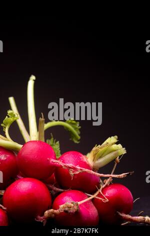 Telaio verticale di gruppo di ravanelli in basso a sinistra fortemente contrastato. Studio di frutta ancora vita su sfondo scuro. Foto Stock