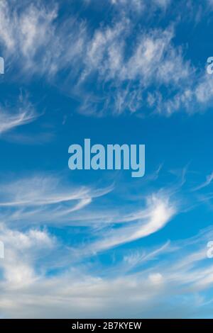 Cirrus è nube strip, bianco, piume, cristallo di ghiaccio. Sfondo blu del cielo. Foto Stock