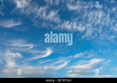 Cirrus è nube strip, bianco, piume, cristallo di ghiaccio. Sfondo blu del cielo. Foto Stock