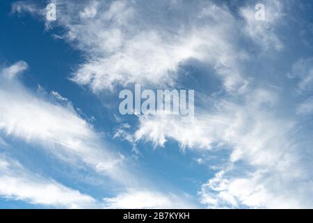 Cirrus è nube strip, bianco, piume, cristallo di ghiaccio. Sfondo blu del cielo. Foto Stock