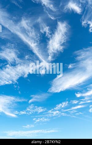 Cirrus è nube strip, bianco, piume, cristallo di ghiaccio. Sfondo blu del cielo. Foto Stock