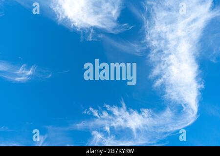 Cirrus è nube strip, bianco, piume, cristallo di ghiaccio. Sfondo blu del cielo. Foto Stock