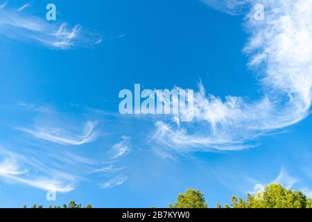 Cirrus è nube strip, bianco, piume, cristallo di ghiaccio. Sfondo blu del cielo. Foto Stock