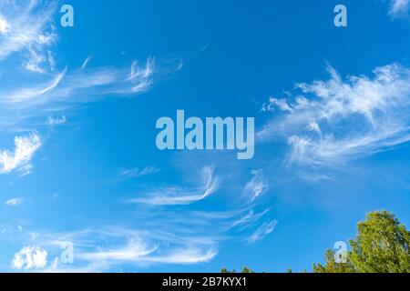 Cirrus è nube strip, bianco, piume, cristallo di ghiaccio. Sfondo blu del cielo. Foto Stock