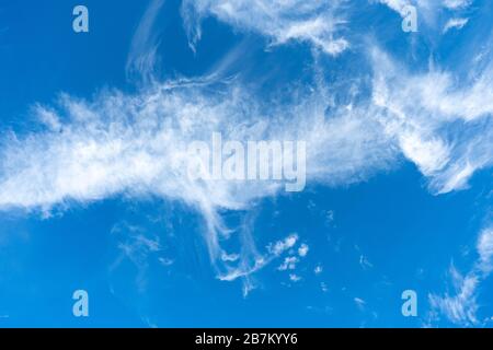 Cirrus è nube strip, bianco, piume, cristallo di ghiaccio. Sfondo blu del cielo. Foto Stock