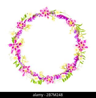 fiore rotondo cornice wreath di fiori da giardino isolato su sfondo bianco, vista dall'alto Foto Stock