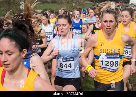 Donne,donne,corridori,British Athletics Cross Challenge,Loughborough,of,Leicestershire,East,Midlands,England,UK,GB,Great,Britain,British,English, Foto Stock