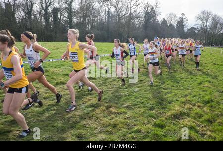 Donne,donne,corridori,British Athletics Cross Challenge,Loughborough,of,Leicestershire,East,Midlands,England,UK,GB,Great,Britain,British,English, Foto Stock