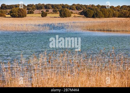 Zone umide in Spagna. Lagunas del Ruidera. Albacete Ciudad Real Paesaggio Foto Stock