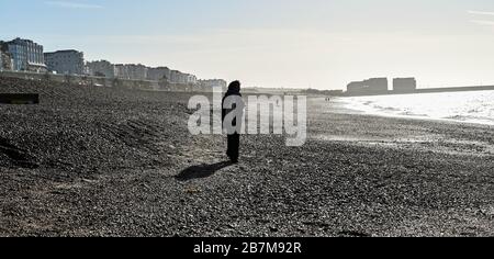 Brighton UK 17 Marzo 2020 - una passeggiata mattutina al sole sulla spiaggia di Brighton, ma ci si aspetta di nuvolare più tardi : Credit Simon Dack / Alamy Live News Foto Stock