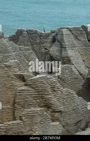 I pancake Rocks si trovano a Punakaika, sull'Isola del Sud della Nuova Zelanda. Sono una delle principali attrazioni turistiche con calcare eroso e fiori. Foto Stock