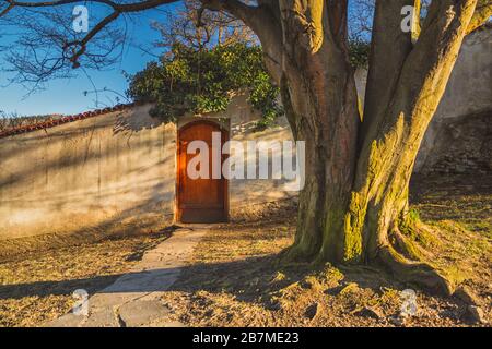 Ancora vita nel parco - porta in legno nel muro, passerella in pietra, nel primo tronco di un vecchio albero, sera - Giardino del castello, Cesky Krumlov, ceco Foto Stock