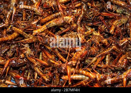 Locuste fritte in vendita in Thailandia Foto Stock