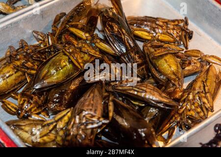 Scarafaggi fritti in vendita in Thailandia Foto Stock