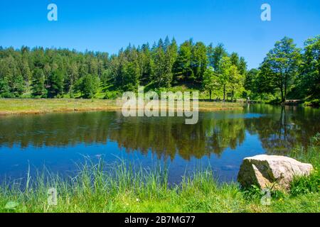 Lago Nonnenmattweiher nella foresta nera / Germania Foto Stock