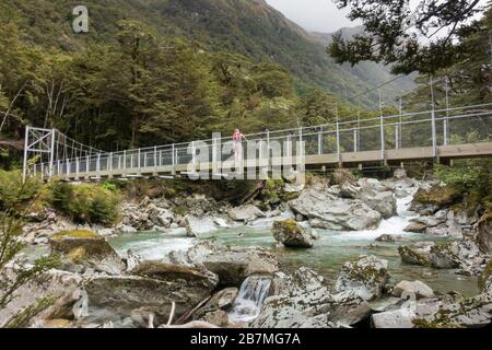 Il Routeburn Track è una classica pista di tram nelle Alpi meridionali della Nuova Zelanda. Foto Stock