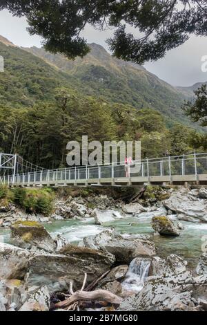 Il Routeburn Track è una classica pista di tram nelle Alpi meridionali della Nuova Zelanda. Foto Stock