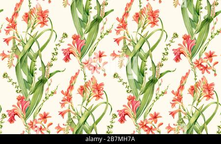Motivo senza giunture acquerello. Fiori di Crocosmia in fiore. Classico design floreale vintage su sfondo beige. Illustrazione floreale botanica per Foto Stock