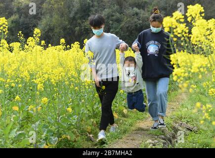 Zhuji, provincia cinese di Zhejiang. 17 Marzo 2020. I turisti camminano in un campo di fiori di cole a Zhuji, provincia di Zhejiang della Cina orientale, 17 marzo 2020. Credit: Weng Xinyang/Xinhua/Alamy Live News Foto Stock