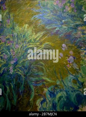 Irises, Claude Monet, circa 1914-17, Foto Stock