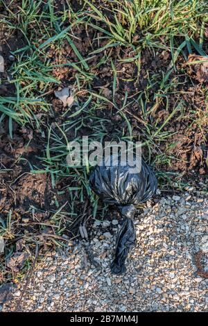 Sacchetto di scarto del cane gettato via nel mezzo della natura Foto Stock