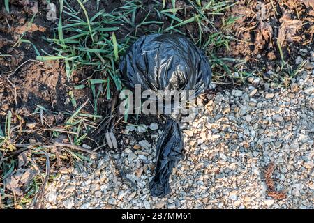 Sacchetto di scarto del cane gettato via nel mezzo della natura Foto Stock