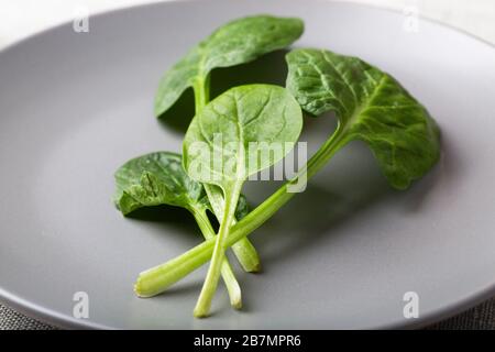 Spinaci freschi foglie su un piatto grigio closeup Foto Stock