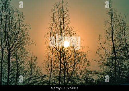 Vista dell'alba dal deserto arabo di Jeddah, Saudi Araiba Foto Stock