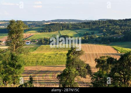 Austria, paesaggio rurale nell'Austria superiore Foto Stock