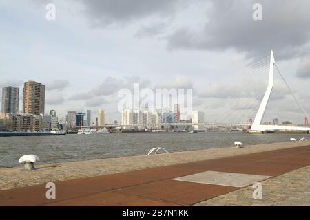 Rotterdam - 12 febbraio 2019: Rotterdam, l'Olanda skyline del centro al crepuscolo, strada in primo piano, Olanda del Sud, Rotterdam, Olanda Foto Stock