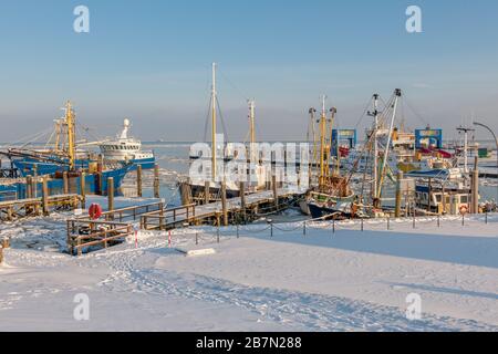 Habour ghiacciato in inverno estremamente freddo, isola di Föhr, Mare del Nord, Patrimonio dell'Umanità dell'UNESCO, Frisia del Nord, Schleswig-Holstein, Germania del Nord, Europa Foto Stock