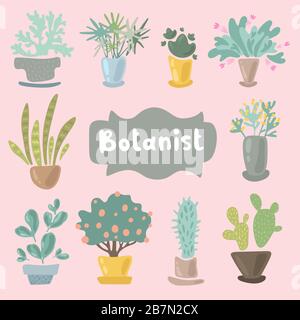 Casa piante e fiori in vasi per arredamento interno. Set di adorabili elementi di progettazione di piante in miniatura. Icona foglia e fiori, vaso fiorito isolato Illustrazione Vettoriale