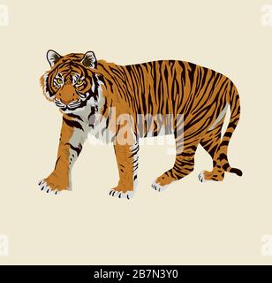 Sumatrian pericolo tigre acquerello illustrazione disegnata a mano Illustrazione Vettoriale