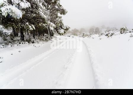 Strada innevata difficile da raggiungere con neve accatastata negli alberi. Foto Stock