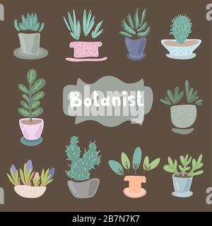 Casa piante e fiori in vasi per arredamento interno. Set di adorabili elementi di progettazione di piante in miniatura. Icona foglia e fiori, vaso fiorito isolato Illustrazione Vettoriale