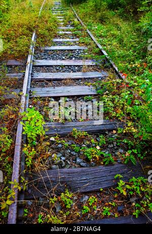 La vegetazione cresce su binari ferroviari in disuso, la Stiria, l'Austria Foto Stock