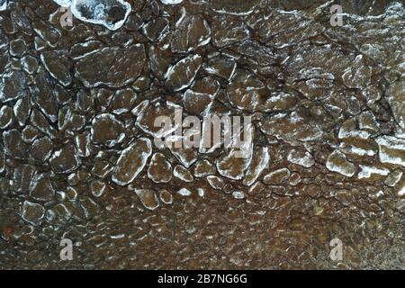 Pezzi di ghiaccio galleggiante sulle onde, placche di ghiaccio, costa sabbiosa, pietre, paesaggio primaverile, tempo soleggiato, pacificazione Foto Stock
