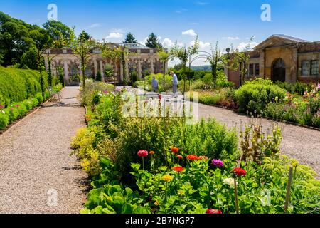 L'Orangerie vittoriana e giardino fiorito tagliato sulla tenuta Tyntesfield, nr Wraxall, Somerset del Nord, Inghilterra, Regno Unito Foto Stock