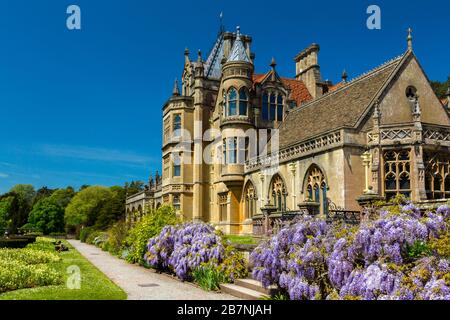 Una colorata esposizione di glicine nel giardino a Tyntesfield House, North Somerset, Inghilterra, Regno Unito Foto Stock