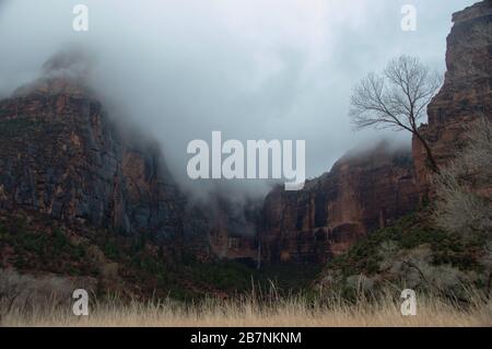 Ammirando le fantastiche vedute e gli stati d'animo dello Zion National Park, Utah, USA Foto Stock